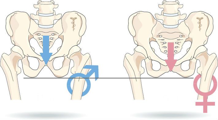 elegir-sillin-isquiones